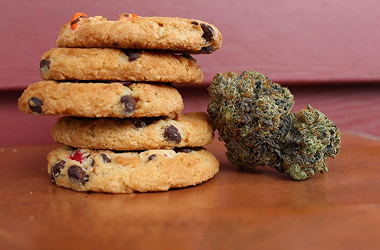 The Rise of Sour Edibles in Michigan