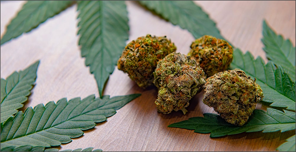 WHERE TO BUY THC GUMMIES IN MICHIGAN